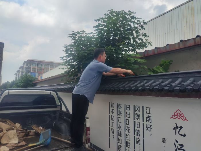 1福源路树木修剪.jpg